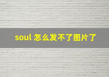 soul 怎么发不了图片了